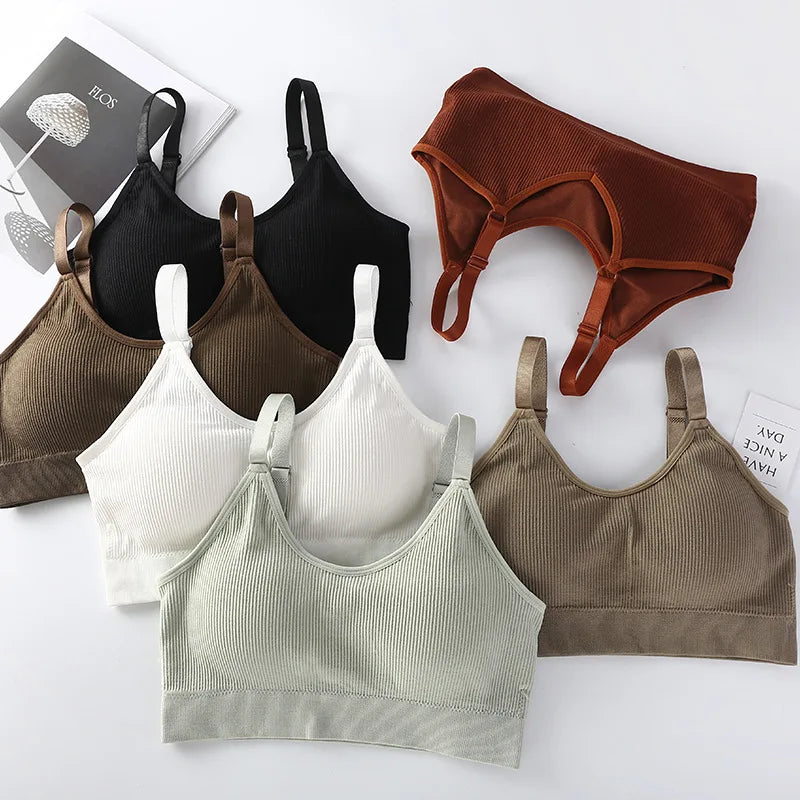 Plus Size Sports Bra