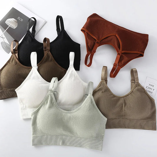 Plus Size Sports Bra