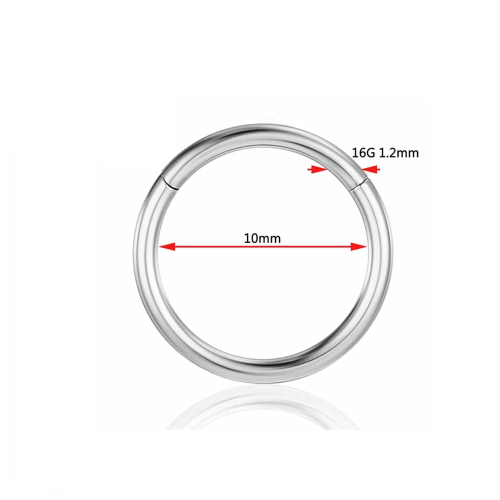 Titanium Nose Ring