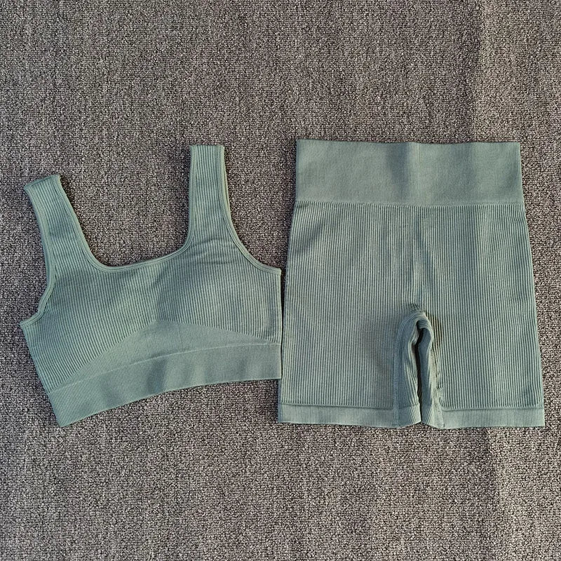 Kozi 2-Piece Seamless Yoga Set: Sexy Sport Bra with High Waist Shorts