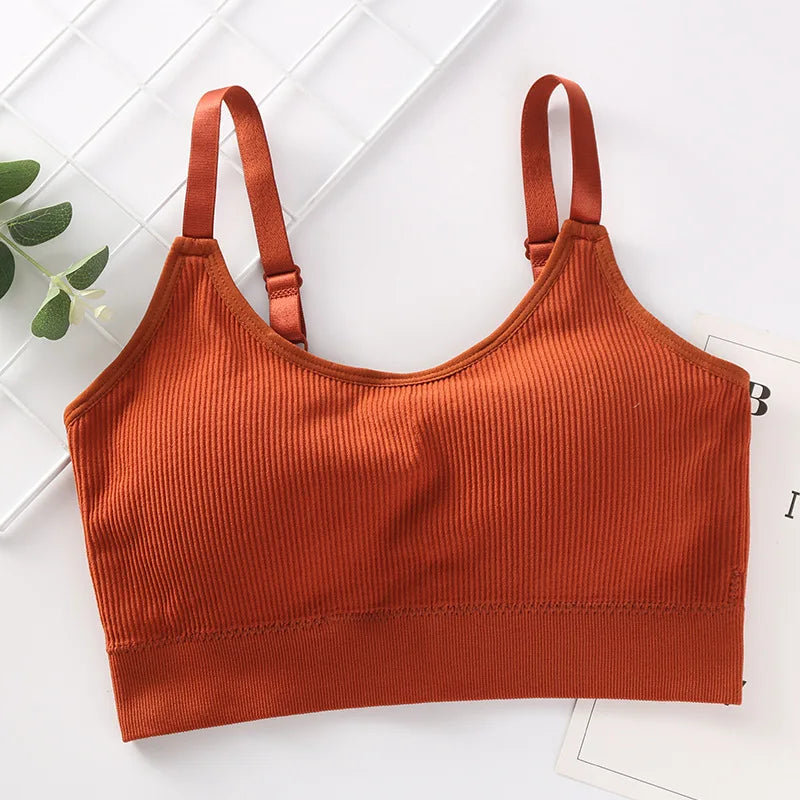Plus Size Sports Bra