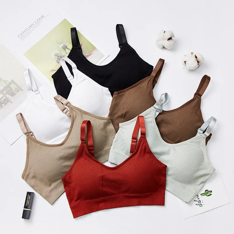 Plus Size Sports Bra